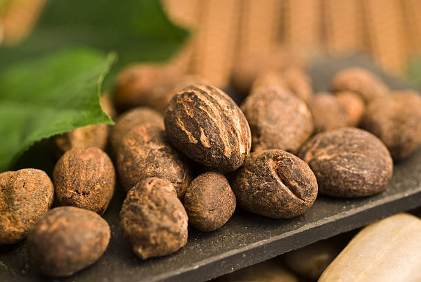Shea Nut